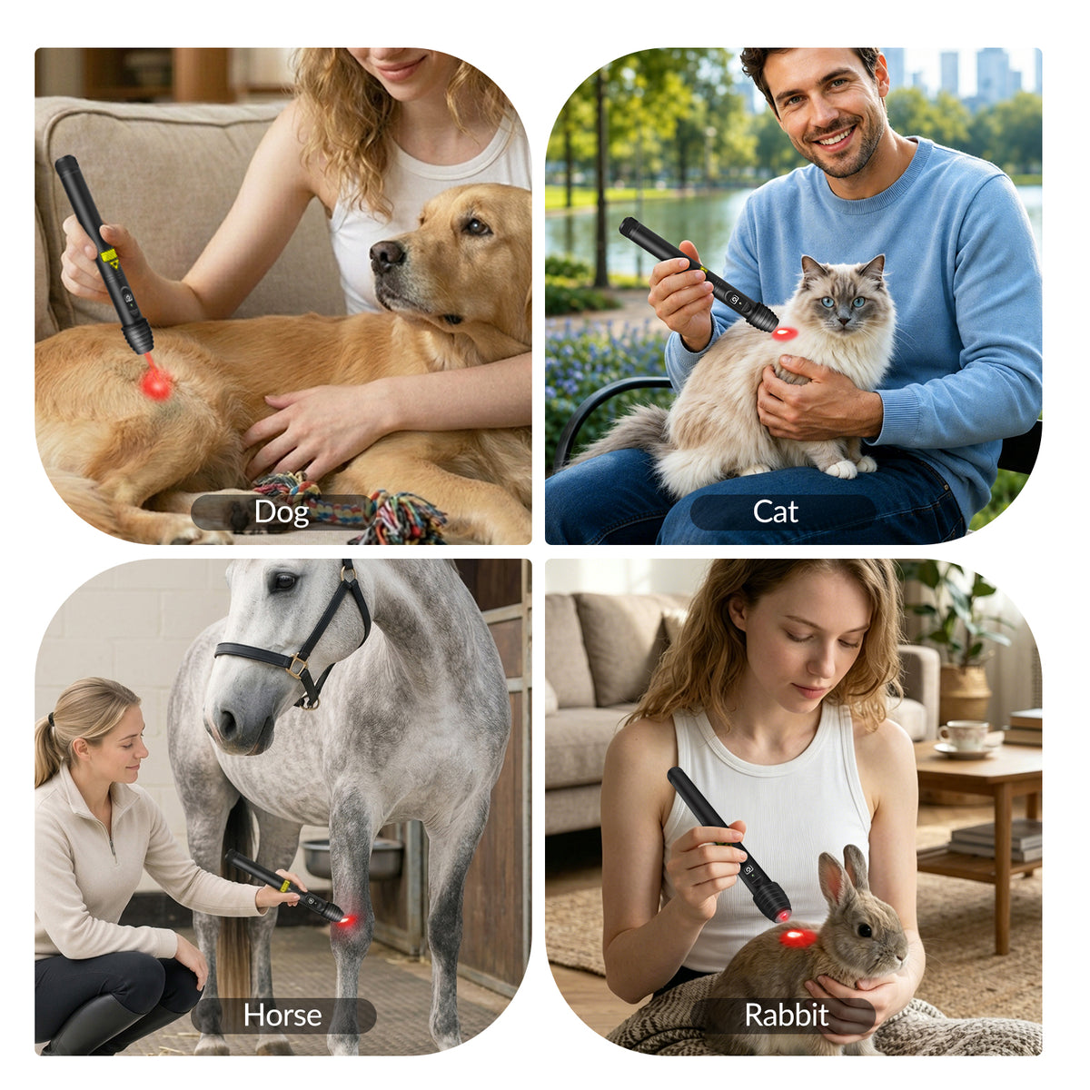 500mW 808nm Cold Laser Therapy Pen for Human and Pet Pain